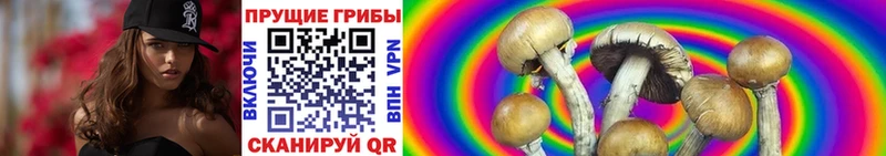 мега сайт  shop какой сайт  Псилоцибиновые грибы мицелий  Тотьма 